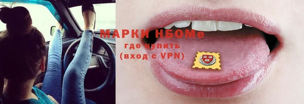 сатива Балахна