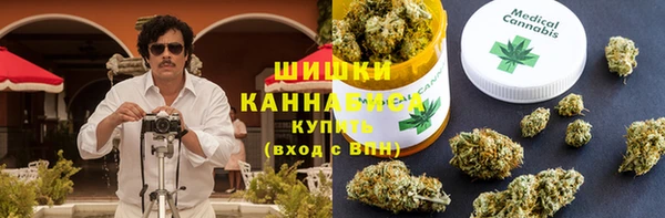 сатива Балахна
