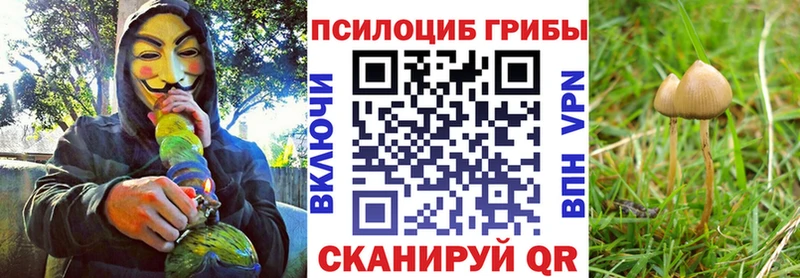 Галлюциногенные грибы мухоморы Игарка
